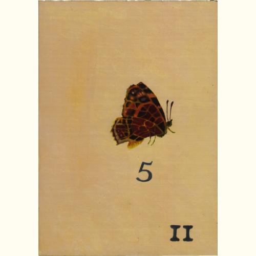 Seite 11 Abb. 5